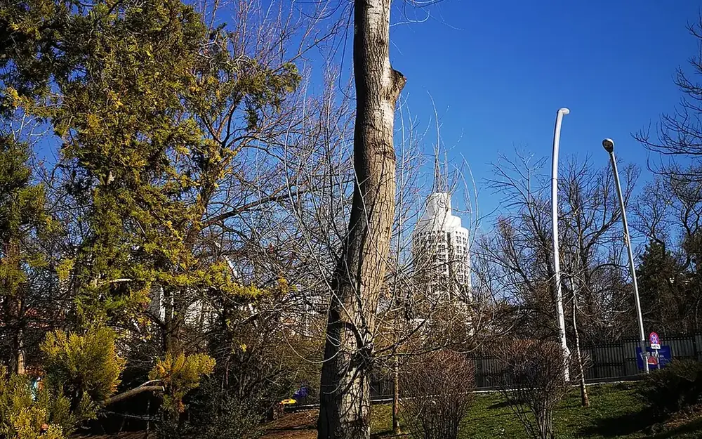Kavaklıdere ve Kuğulu Park çevresi