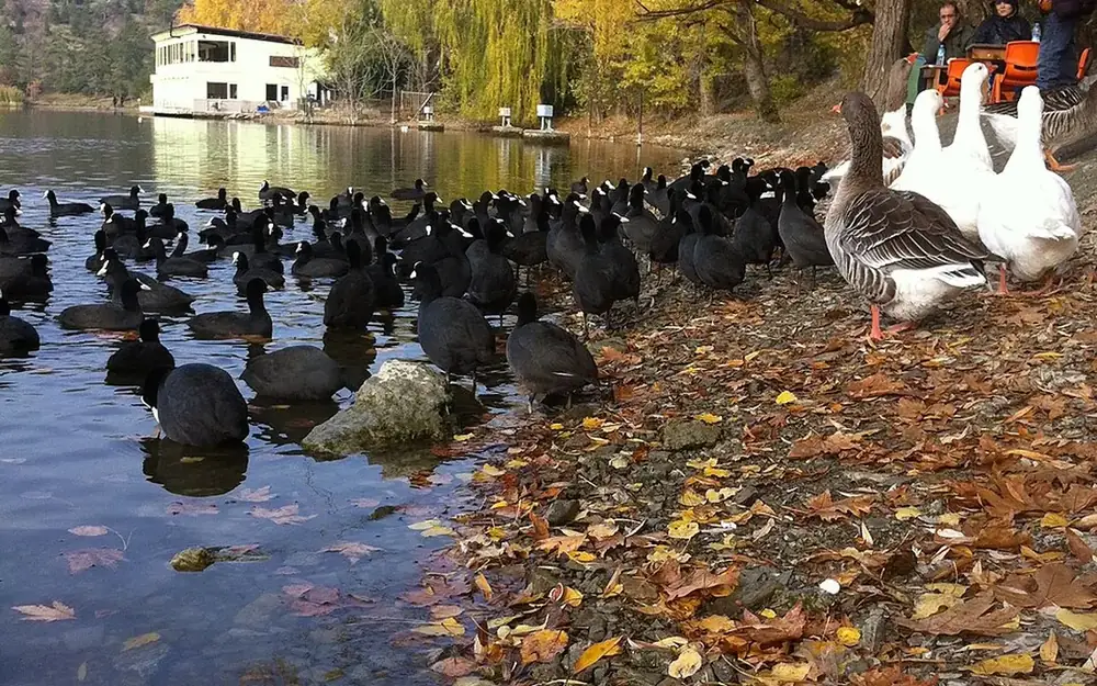 Kızılcahamam Gezi Rehberi