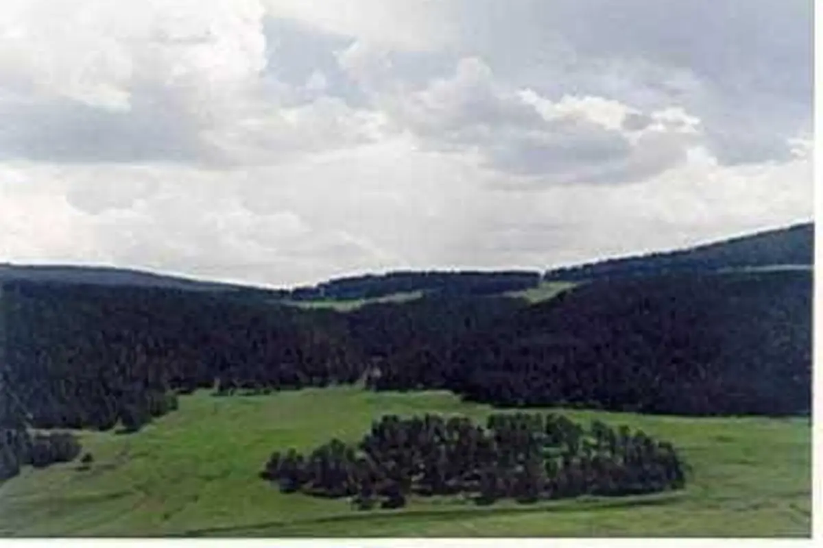 Yalnızçam ve Ardahan yaylaları