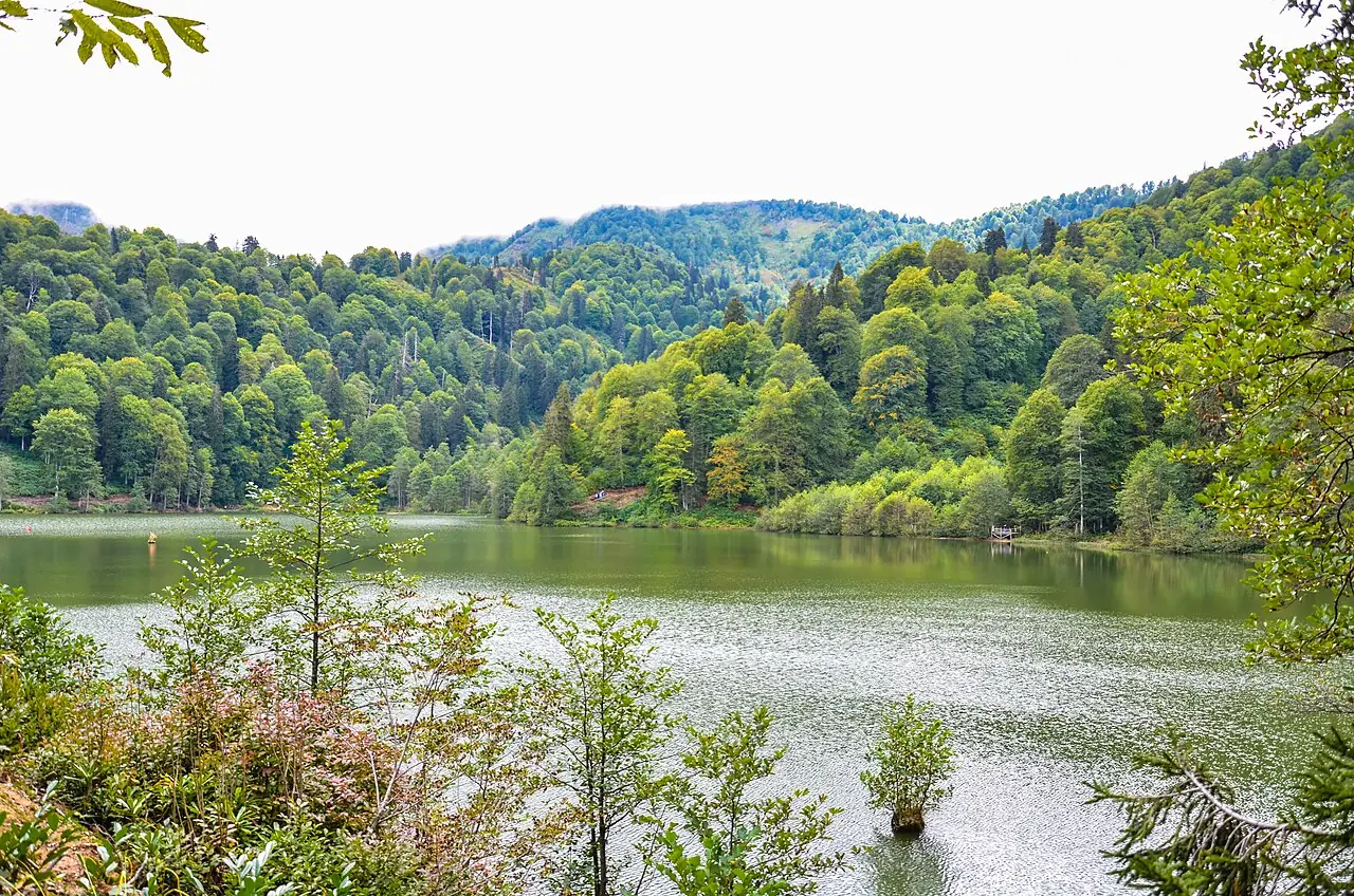Borçka Karagöl Tabiat Parkı, Artvin