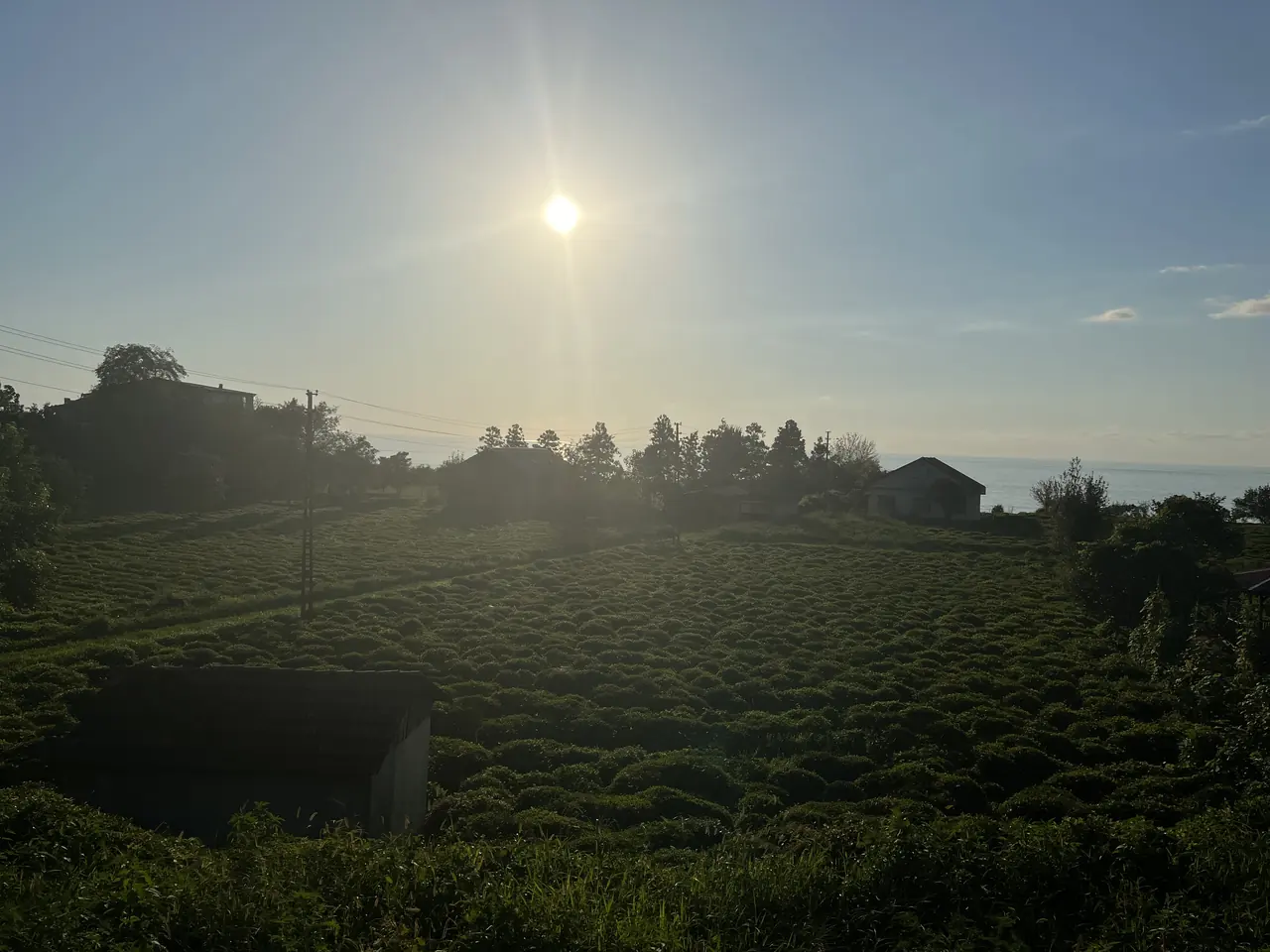 Kemalpaşa, Artvin