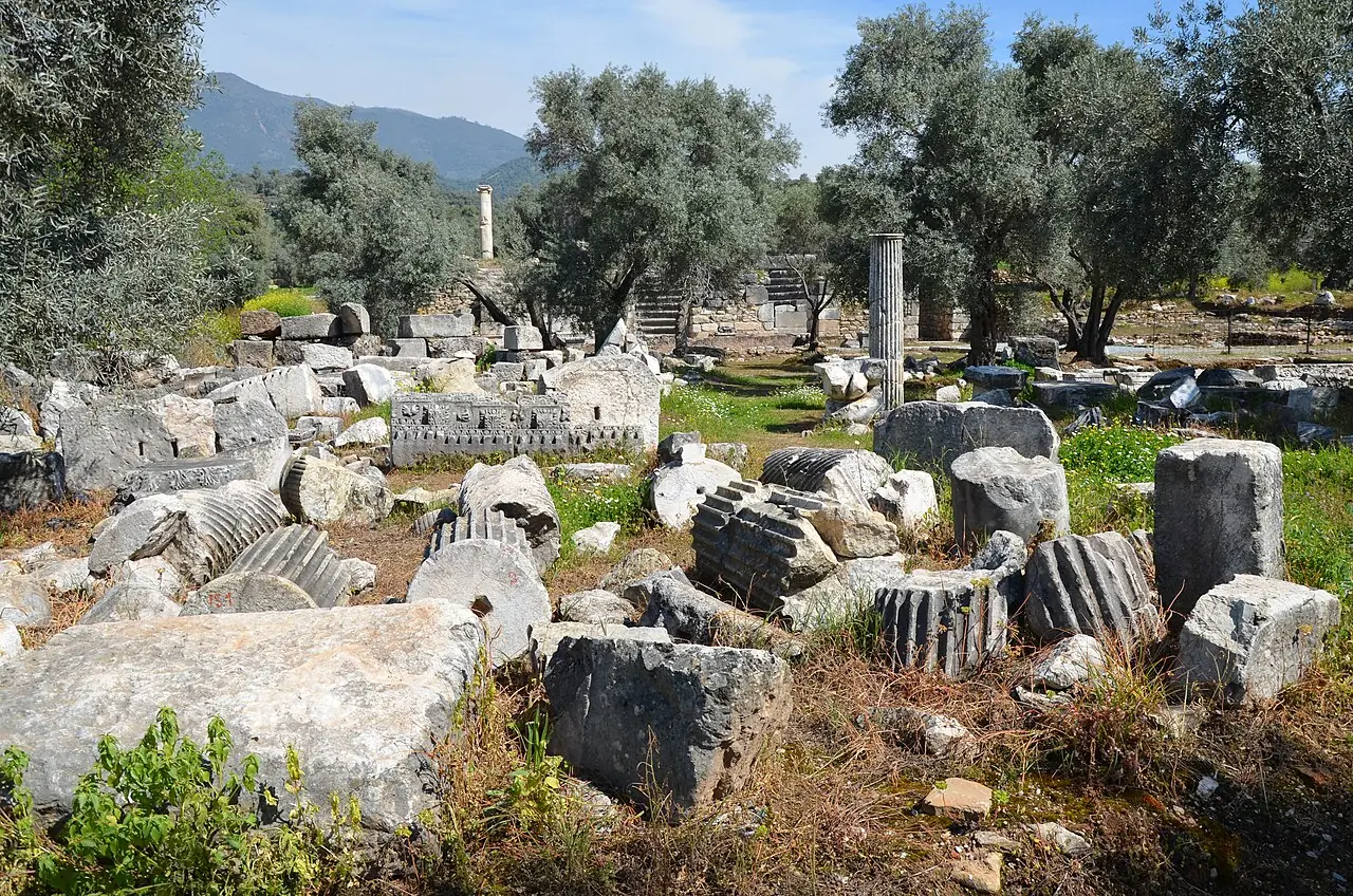 Nysa Antik Kenti, Sultanhisar, Aydın