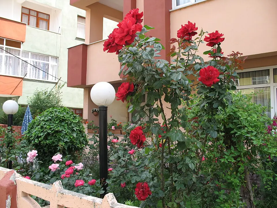 Gönen, Balıkesir