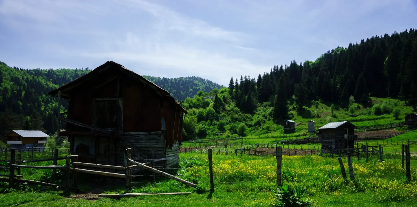 Uluyayla, Ulus, Bartın