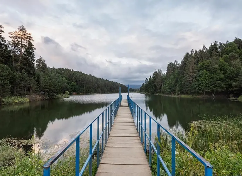 Bozcaarmut Göleti, Pazaryeri