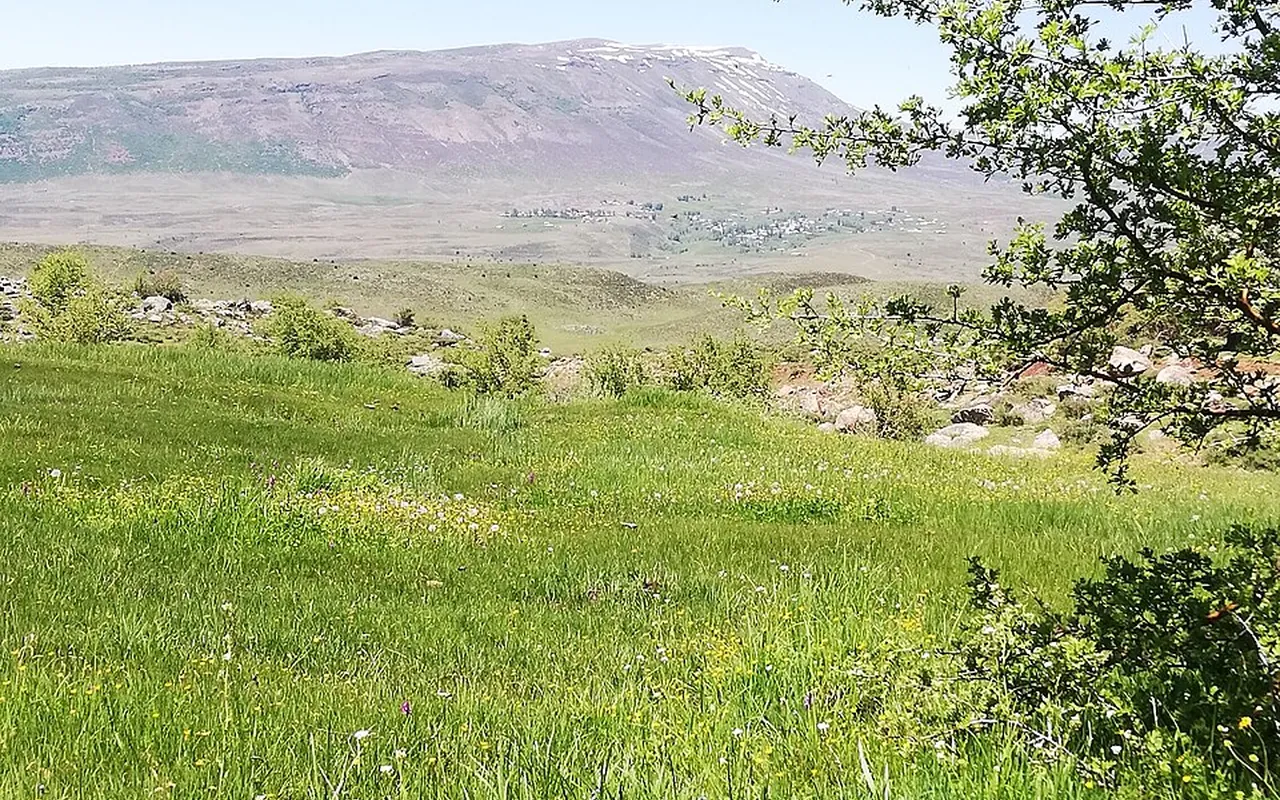 Bingöl yaylaları · Adaklı rota çevresi