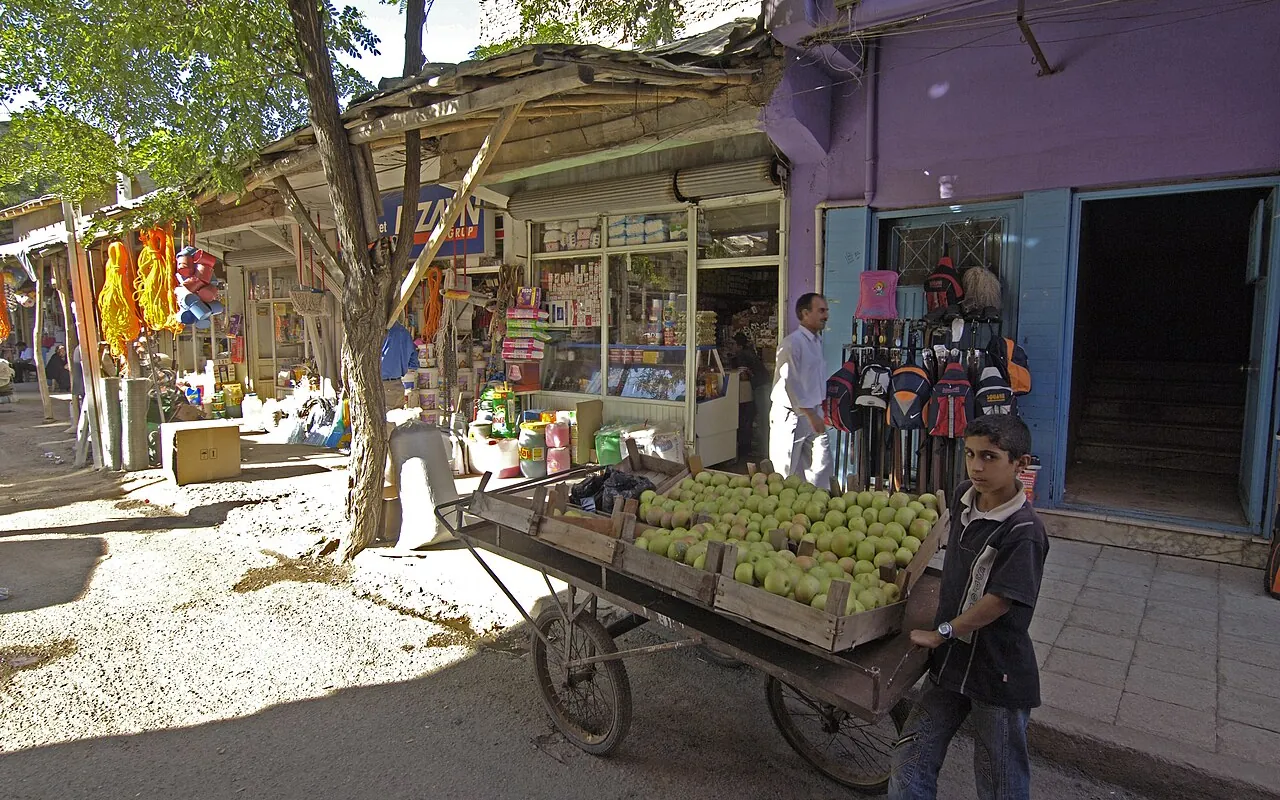 Bingöl Çarşısı
