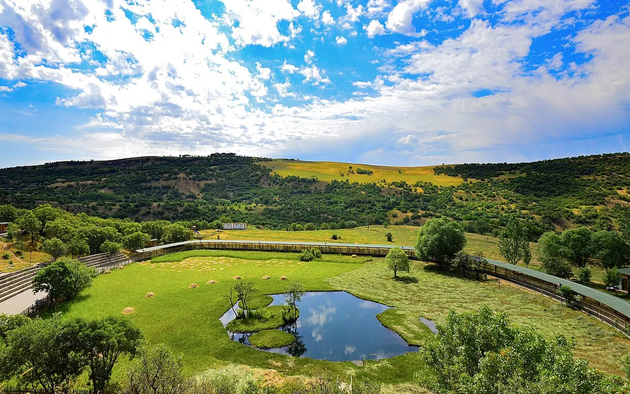Yüzen Ada · Solhan