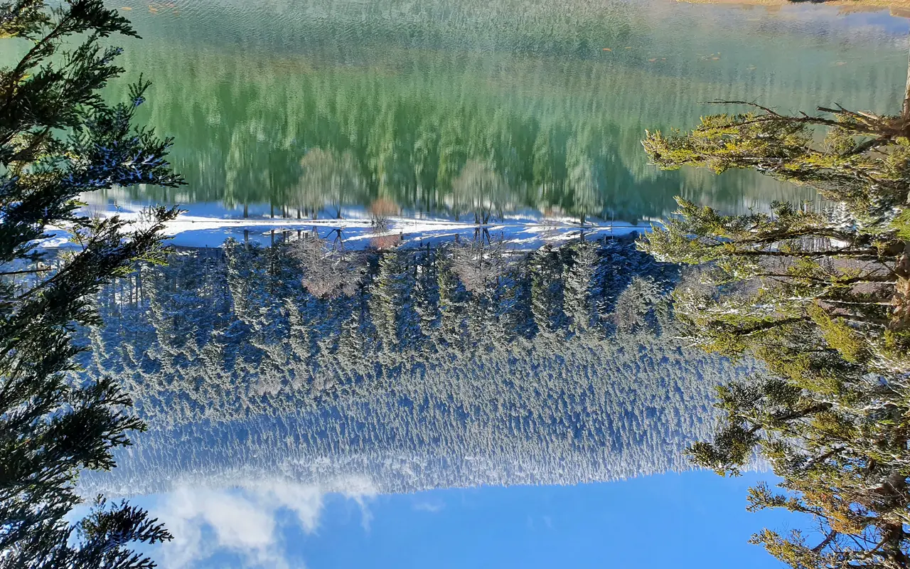 Gölcük Tabiat Parkı, Bolu Merkez
