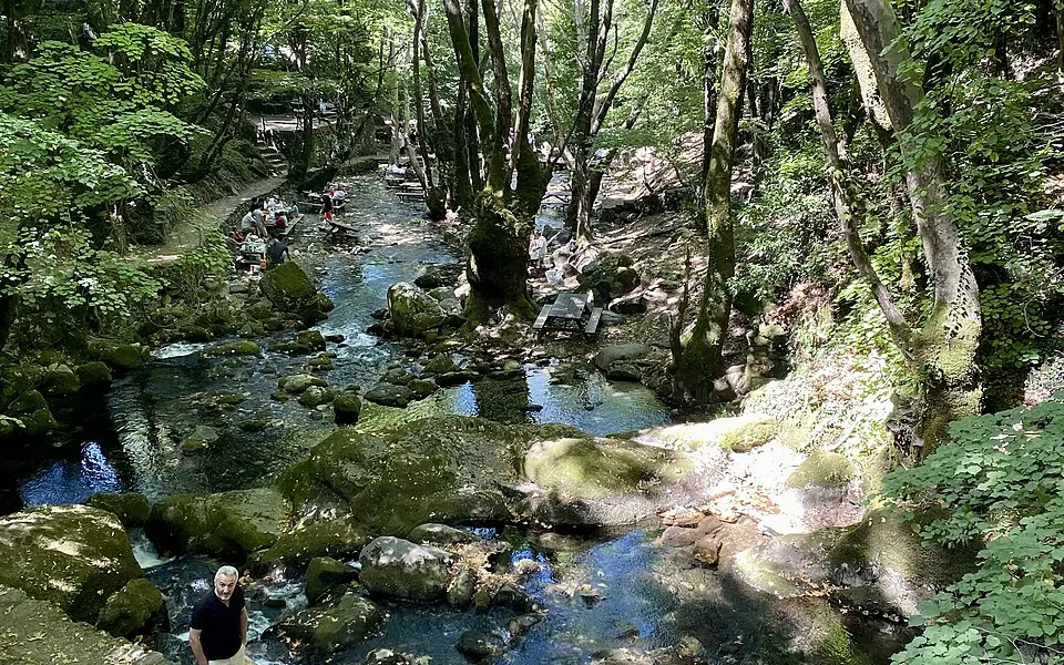 Ayazmapınarı Tabiat Parkı, Bayramiç