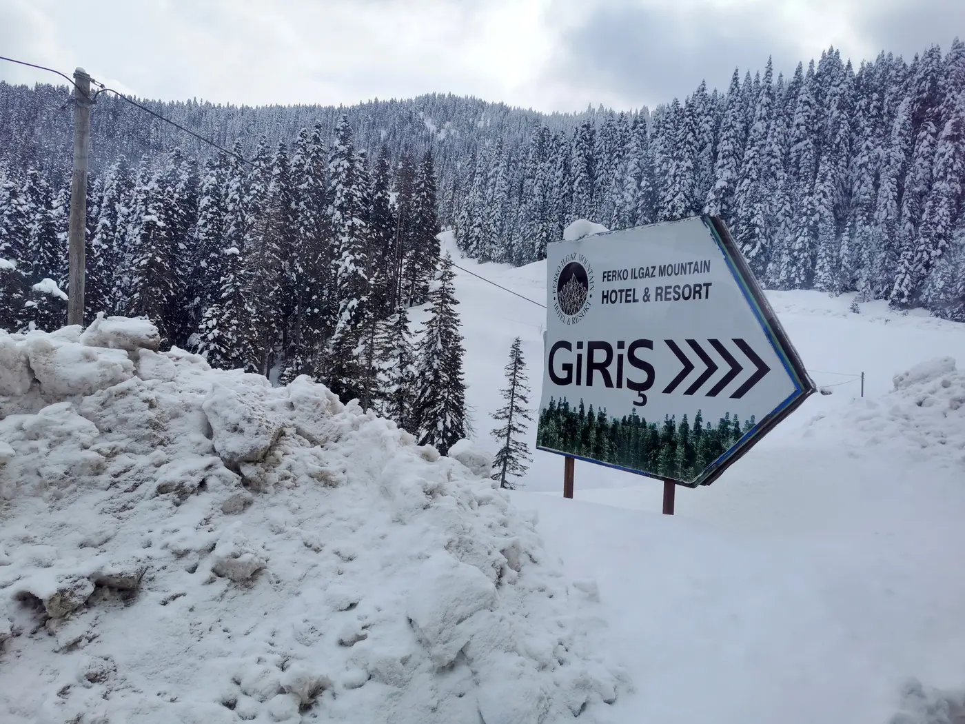Ilgaz Dağı ve orman kuşağı