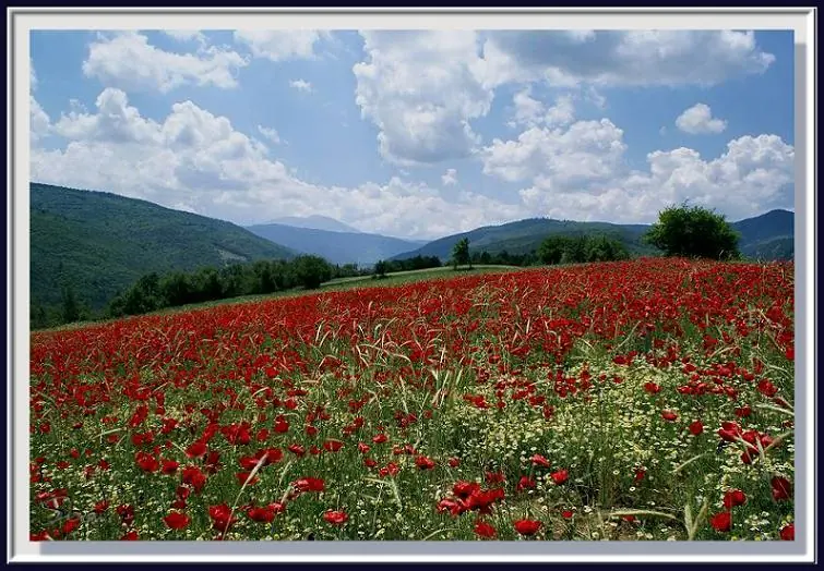 Ilgaz Dağı çevresinde bahar manzarası