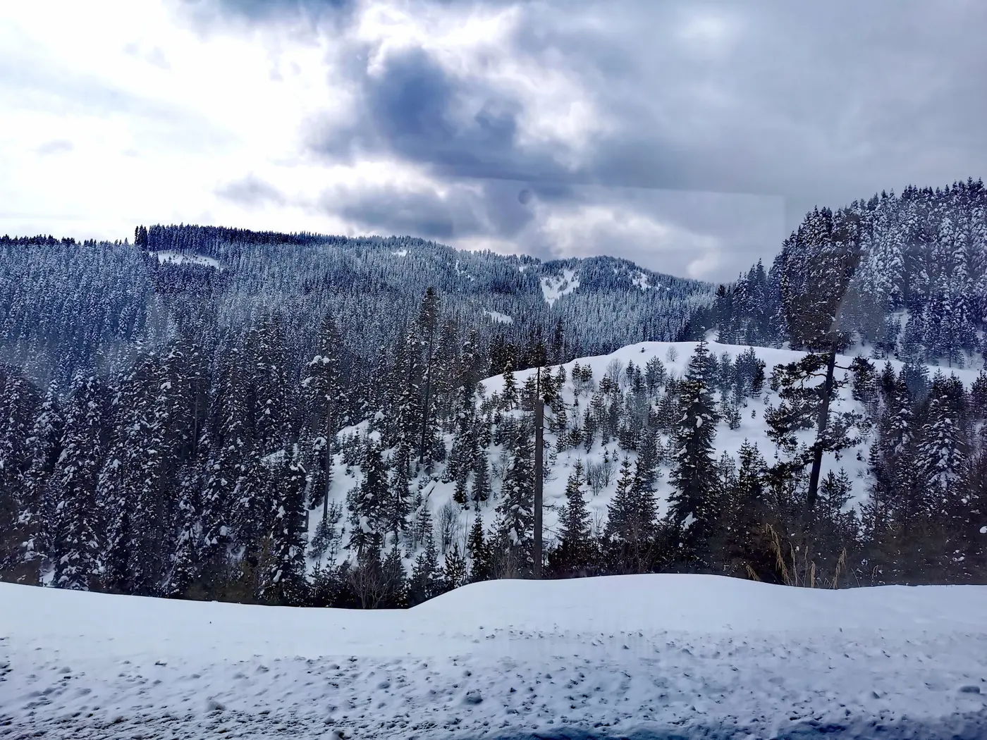 Ilgaz Dağı Milli Parkı