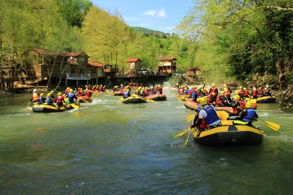 Dokuzdeğirmen, Cumayeri, Düzce