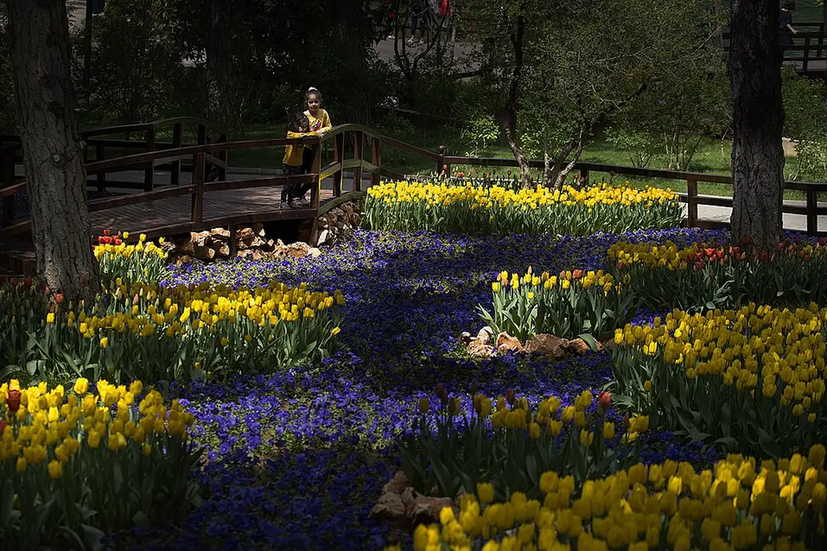 Dülükbaba Tabiat Parkı, Şehitkamil, Gaziantep