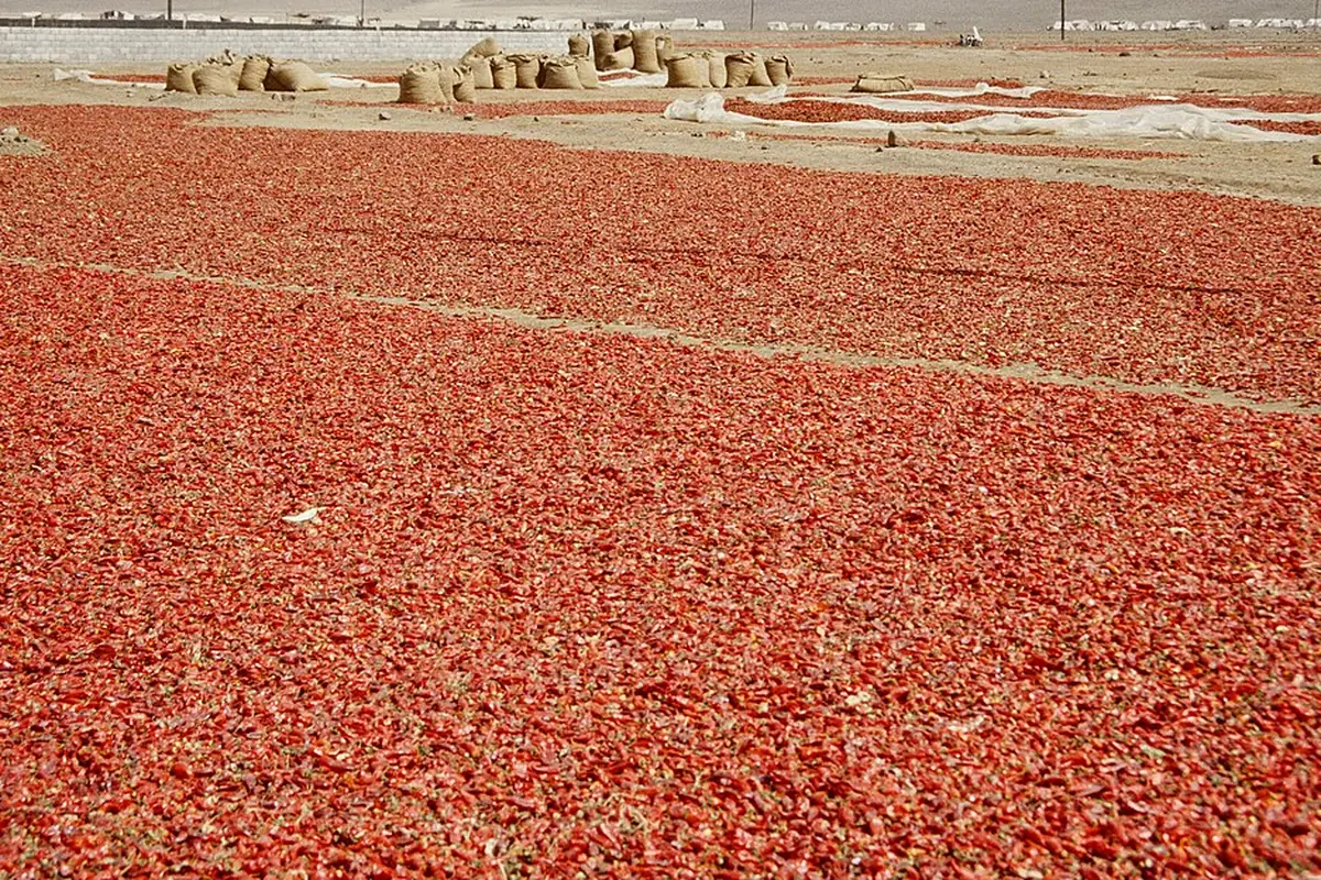Yesemek çevresi, İslahiye, Gaziantep