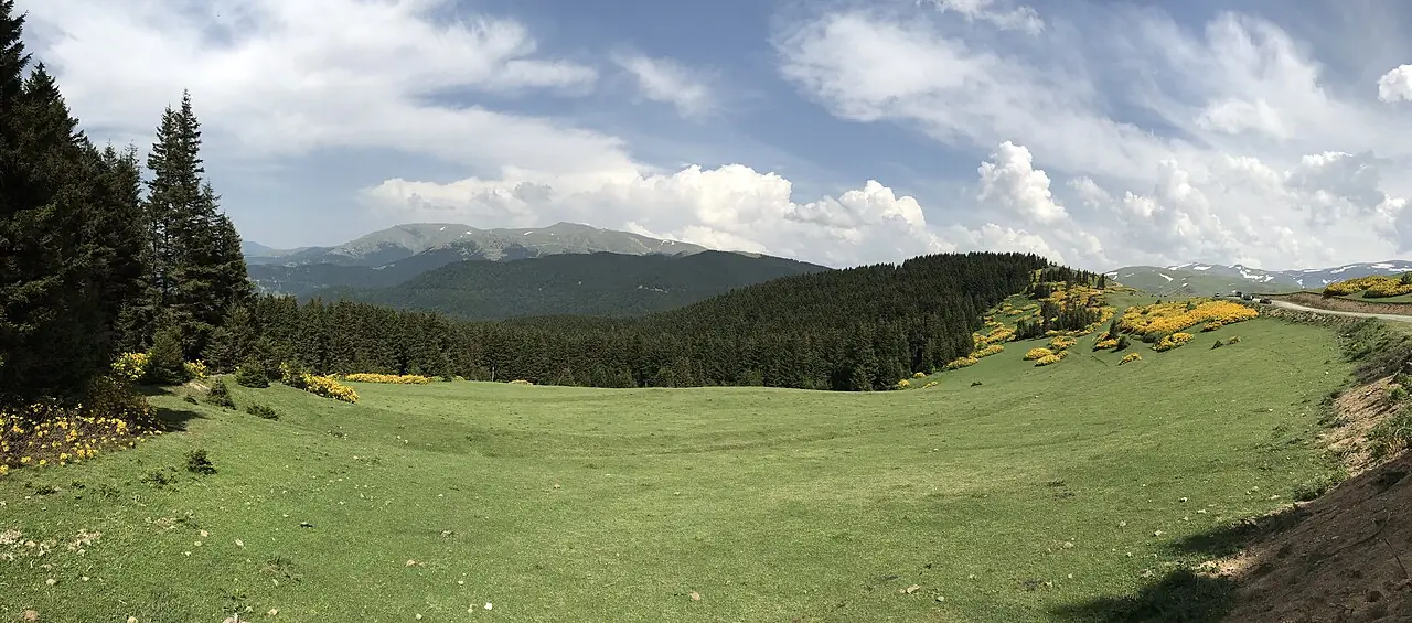 Kümbet Yaylası, Dereli
