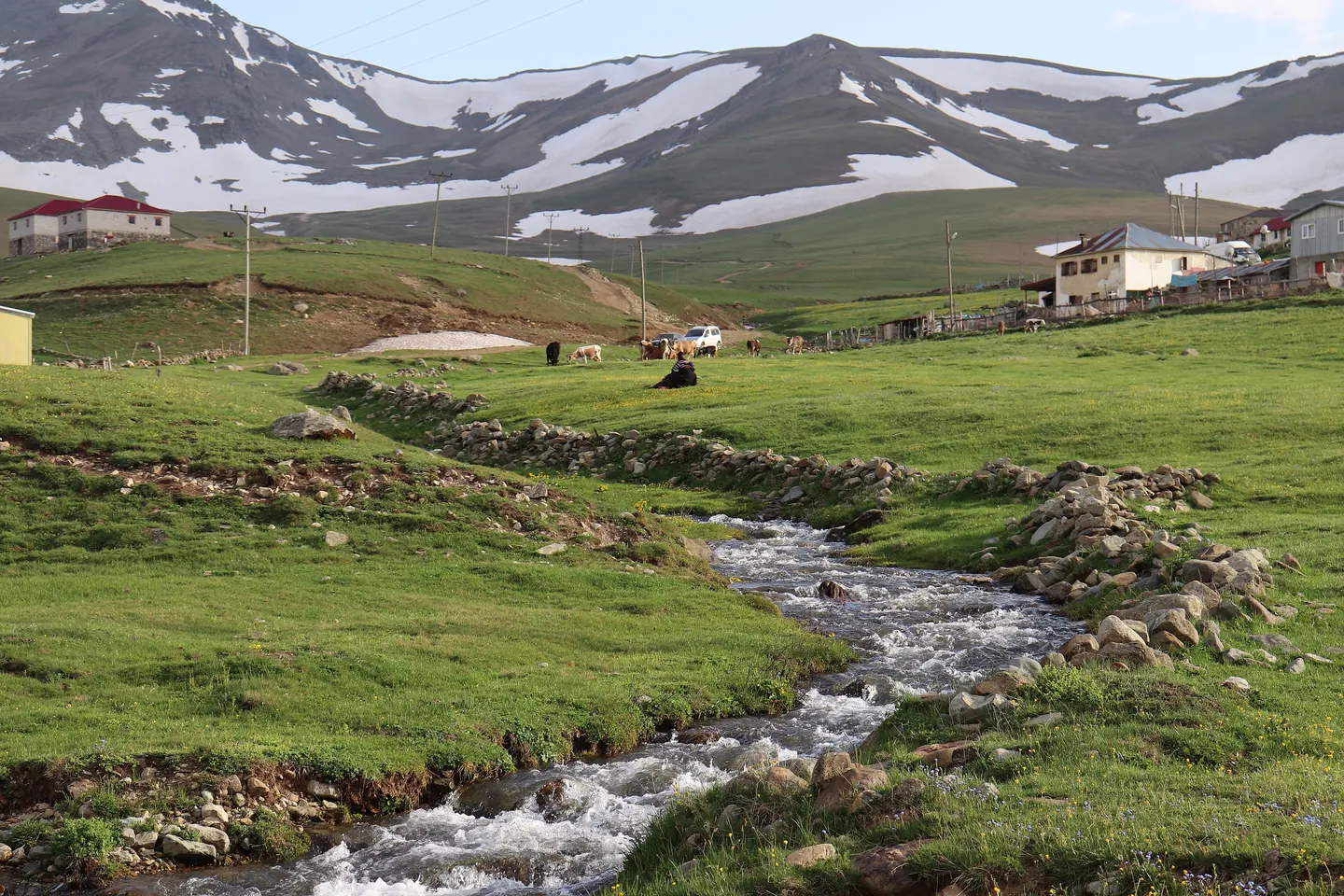 Camiboğazı Yaylası, Gümüşhane