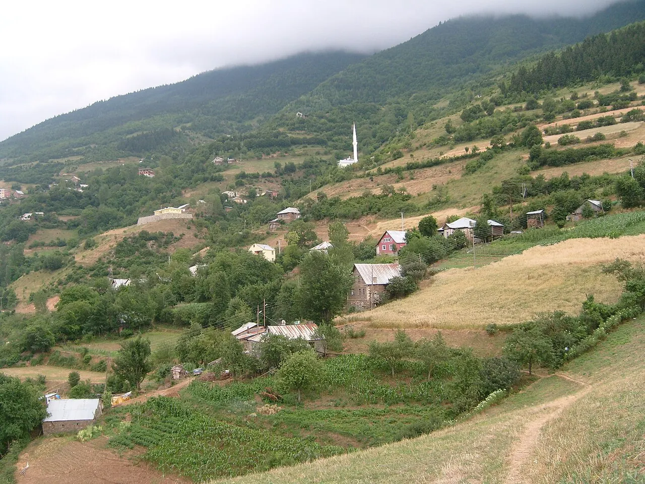 Kürtün / Araköy, Gümüşhane