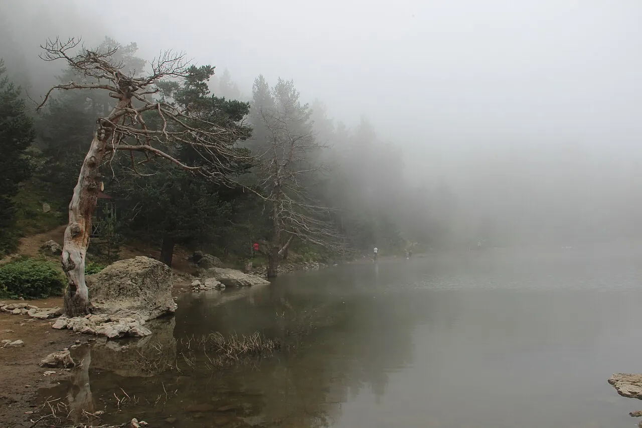 Limni Gölü Tabiat Parkı, Torul / Gümüşhane