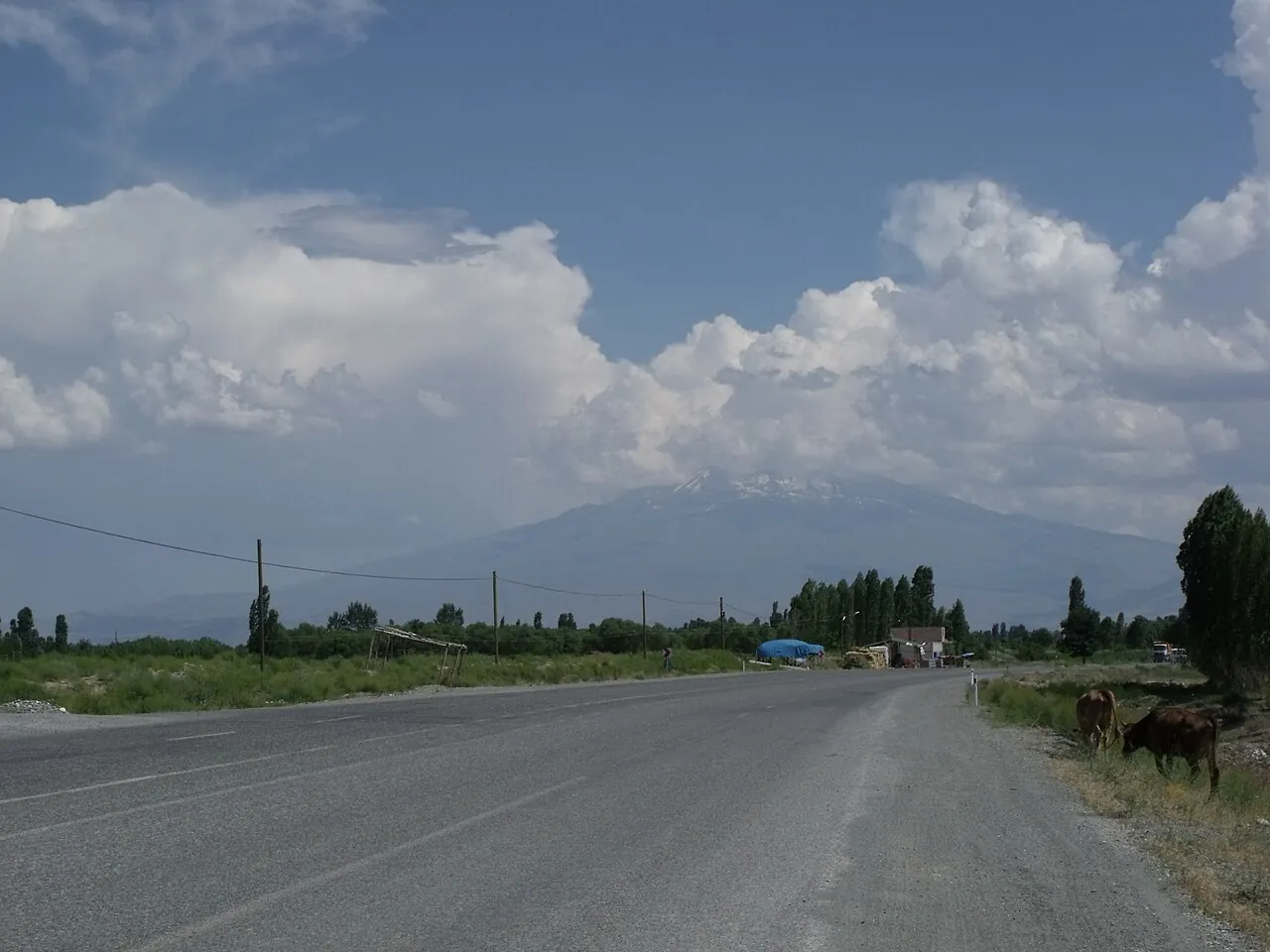 Iğdır kara yolu