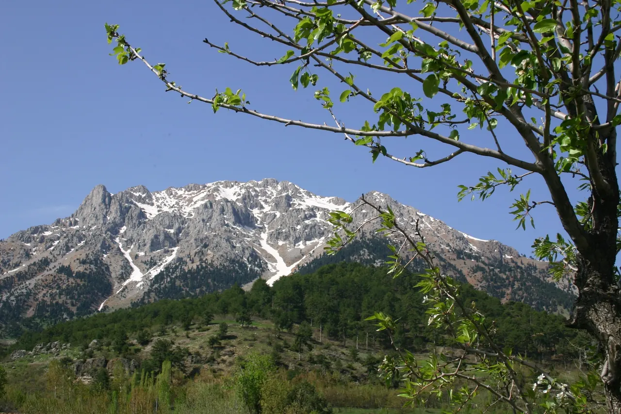 Tekir Vadisi, Onikişubat