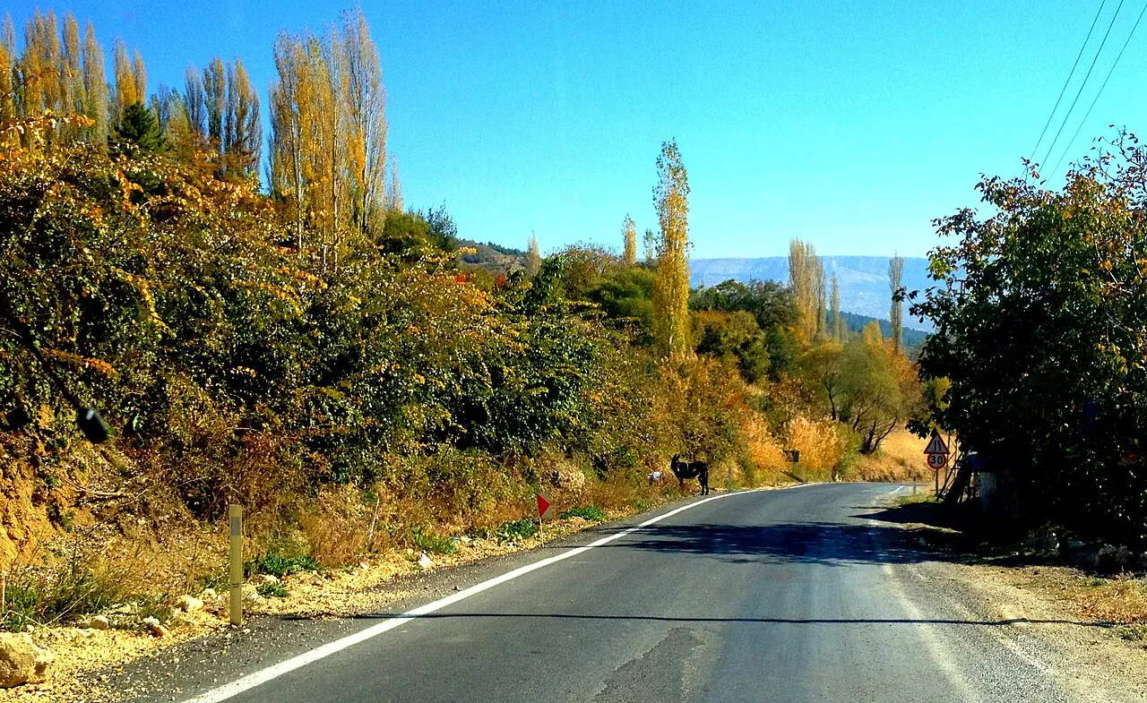 Şirindere, Başyayla