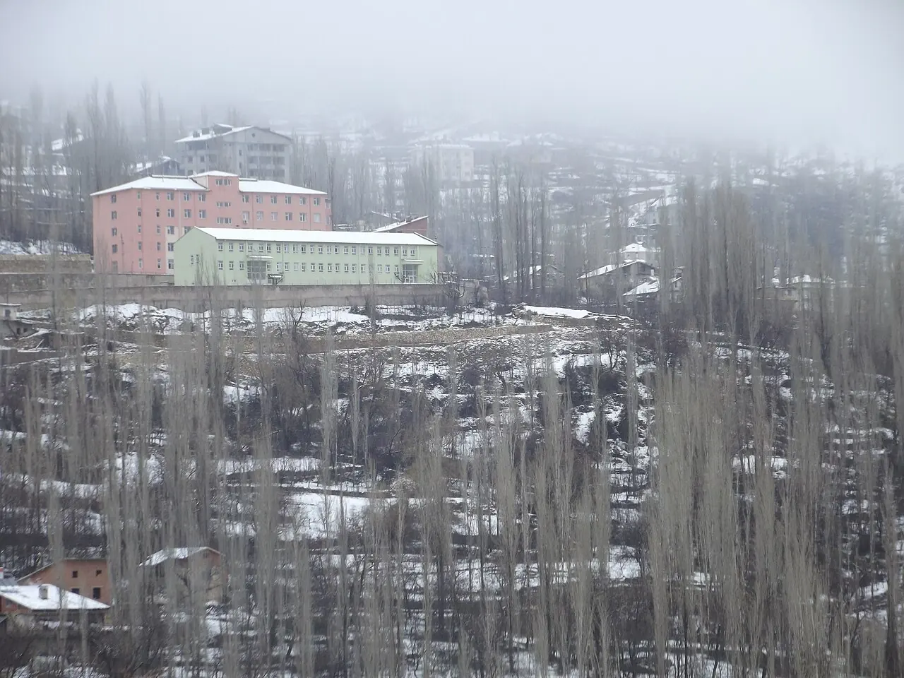 Sarıveliler, Karaman