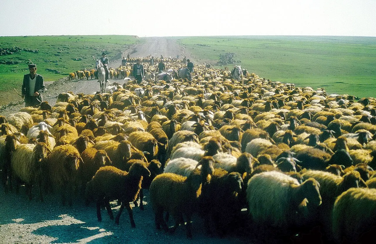 Sarıkamış Gezi Rehberi