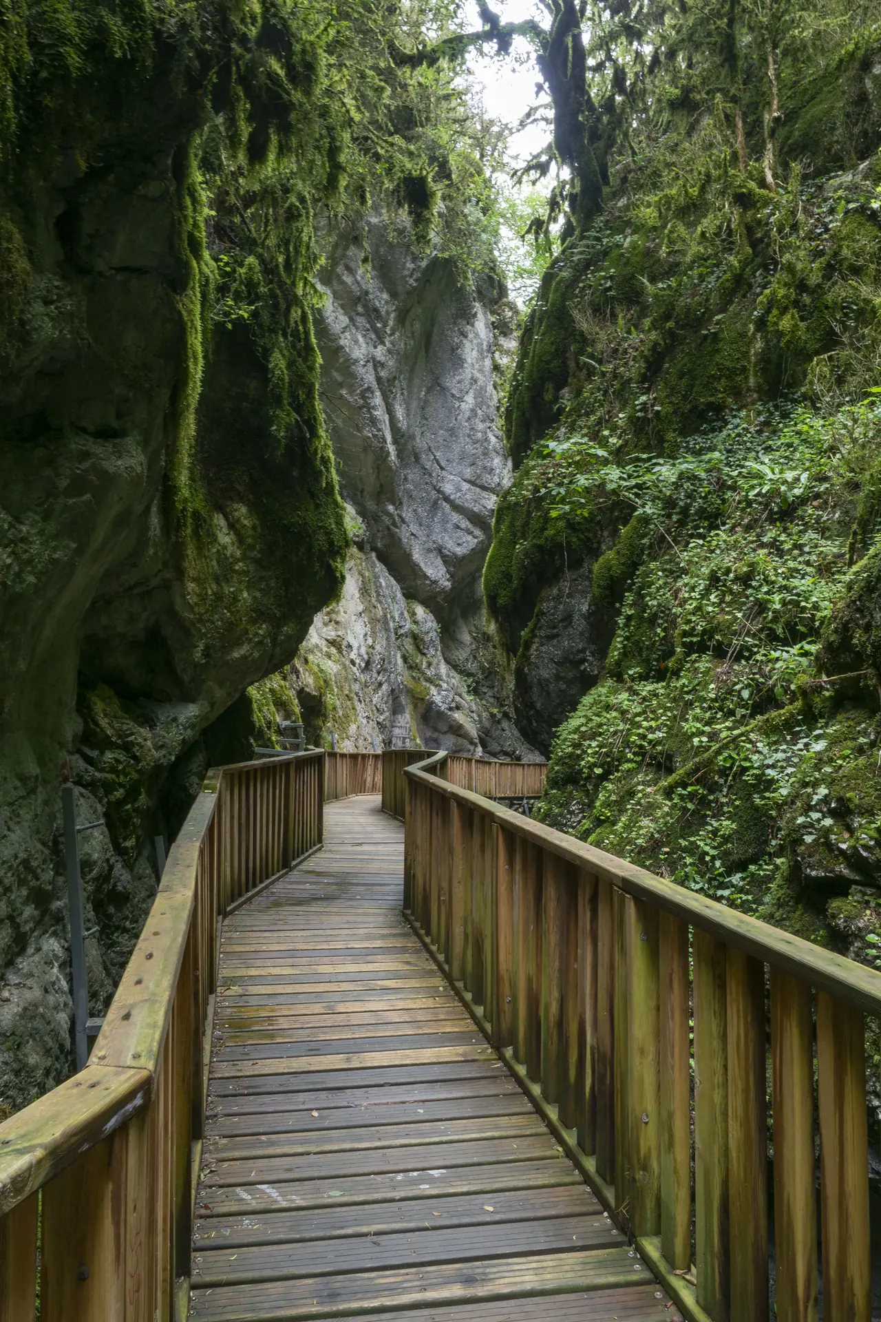 Horma Kanyonu yolu, Pınarbaşı, Kastamonu