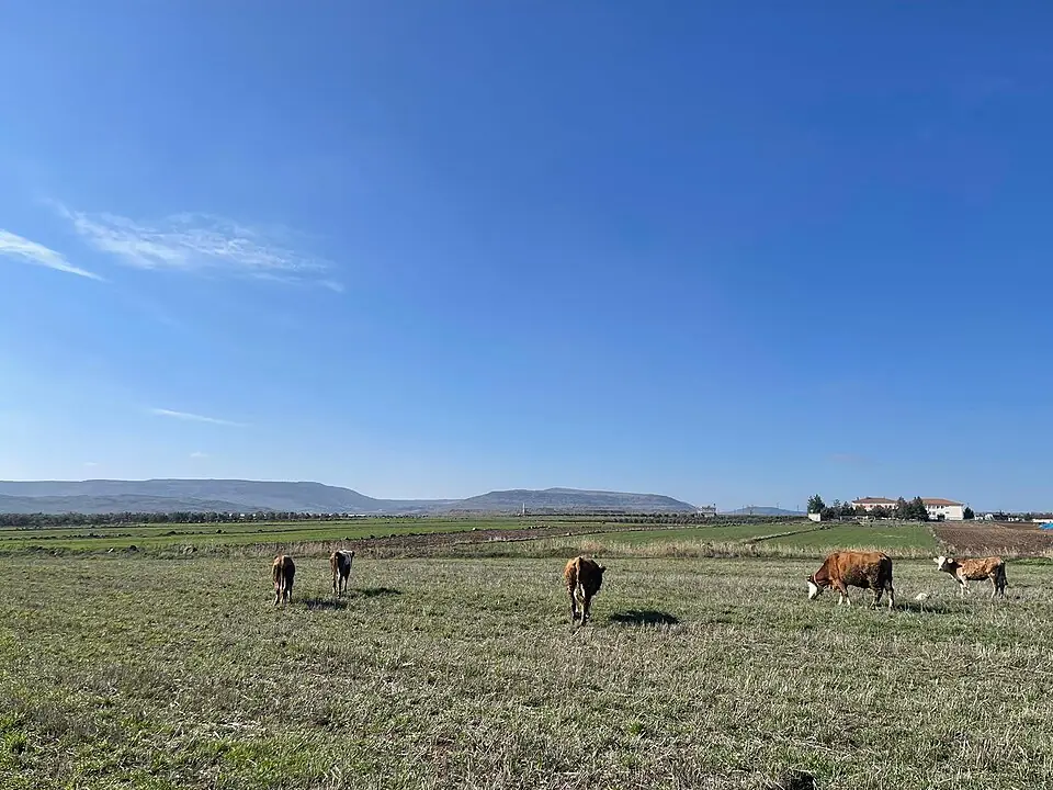 Karamelik Köyü çevresi, Kilis