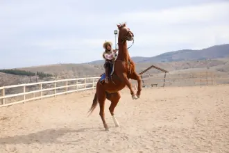 Dinek Dağı Atlı Safari ve Doğa Parkı, Balışeyh