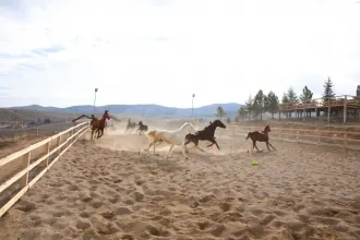 Dinek Dağı kırsal rota, Balışeyh