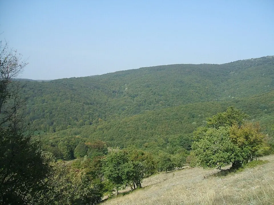 Istranca orman yolları, Kırklareli