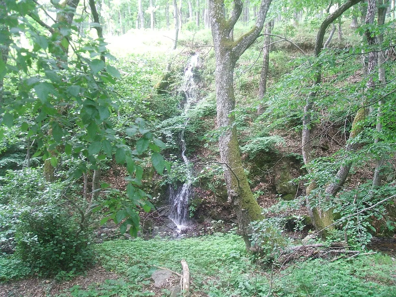 Istranca Ormanları, Kırklareli