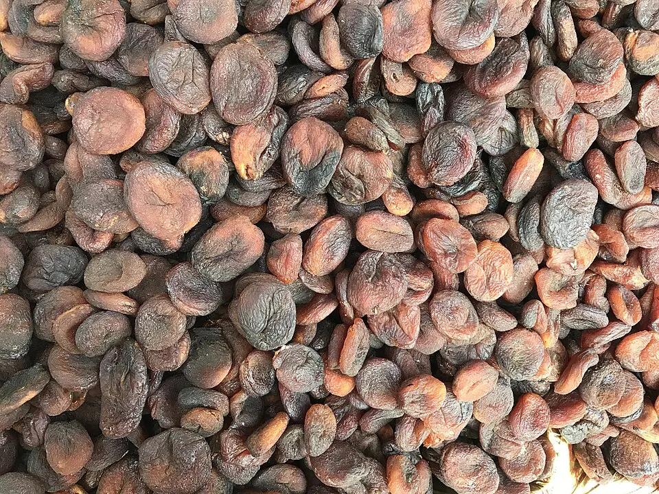 Malatya kuru kayısısı