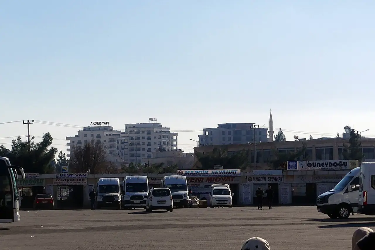 Mardin şehir çevresi