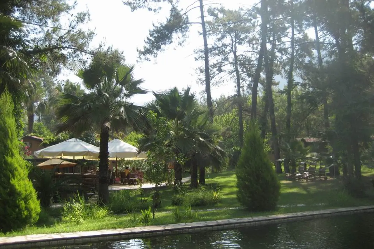 Bördübet, Marmaris