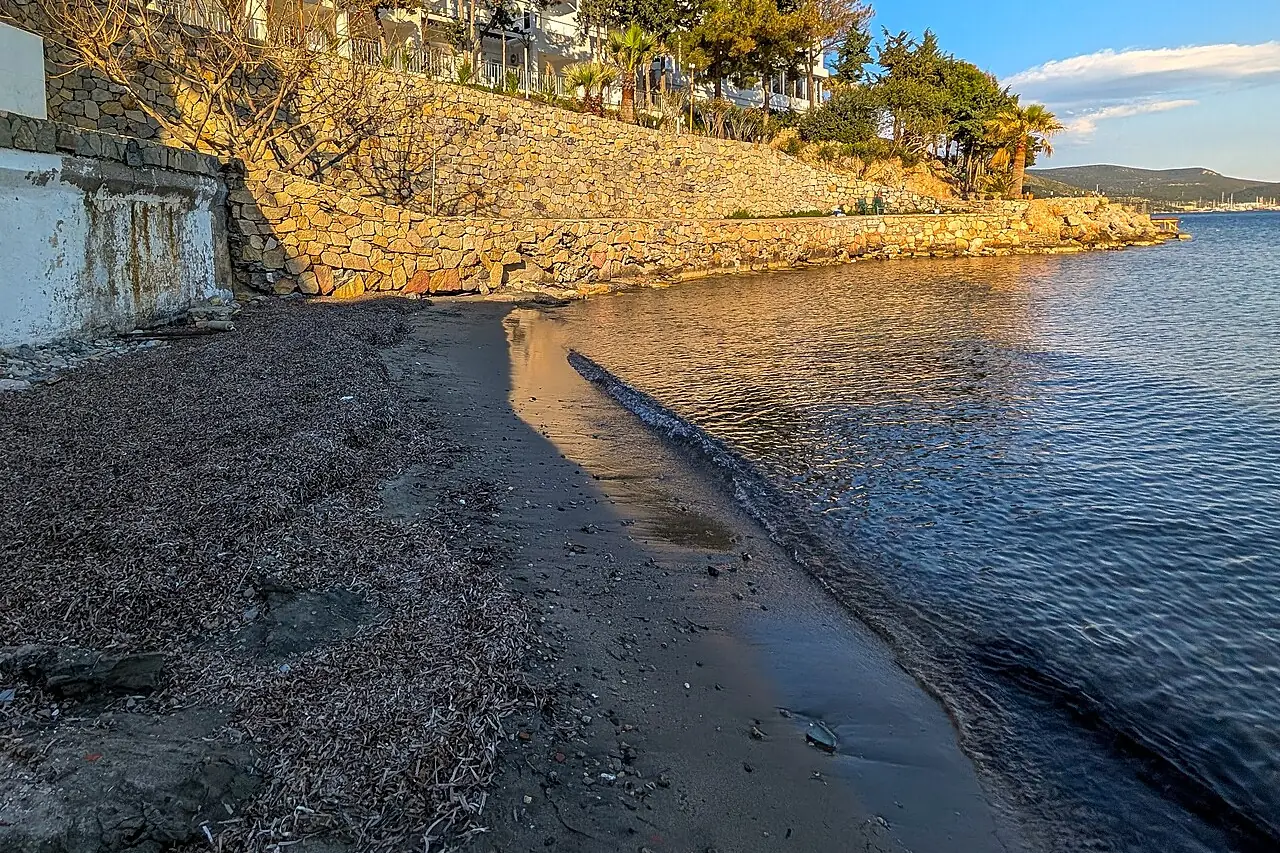 Bardakçı Plajı, Bodrum