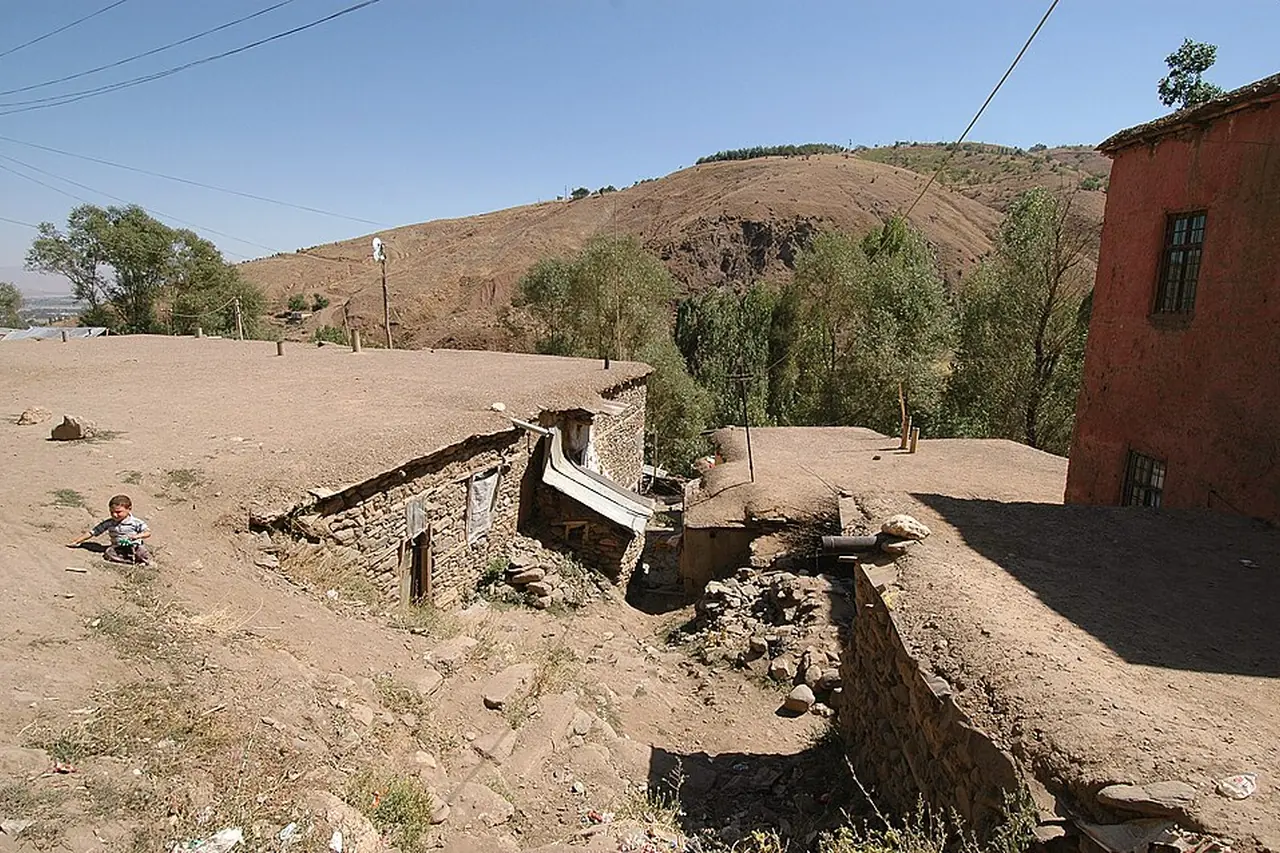 Muş şehir dokusu