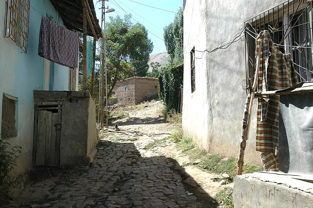 Muş merkez yol ve yerleşim dokusu