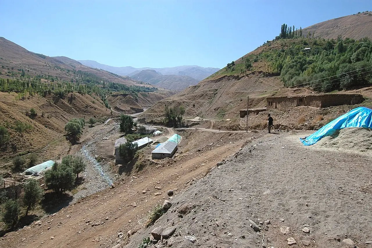 Muş merkez çevresi