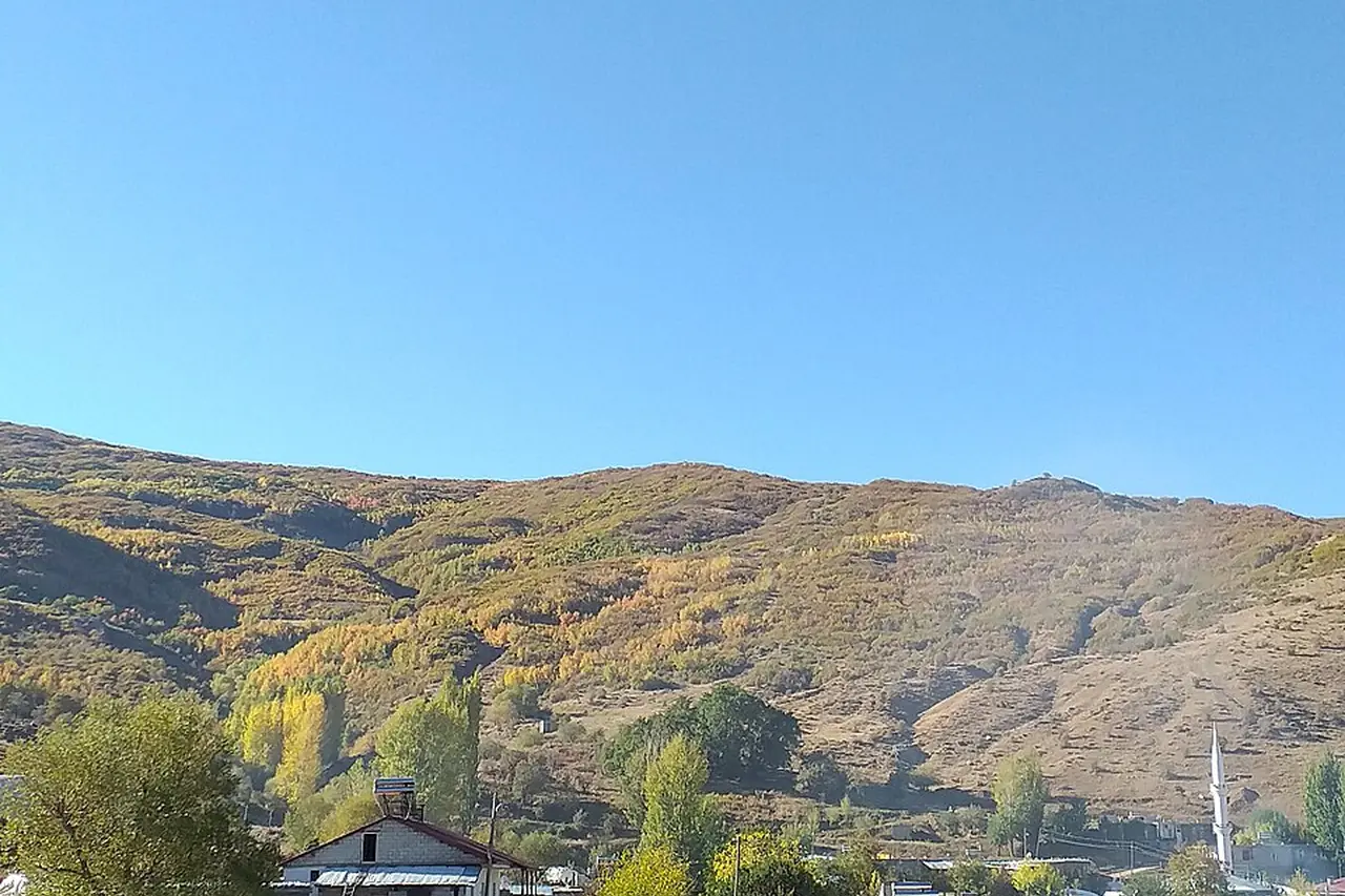 Koğuktaş, Hasköy, Muş