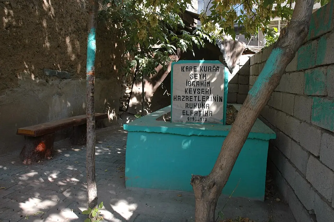 Muş Merkez
