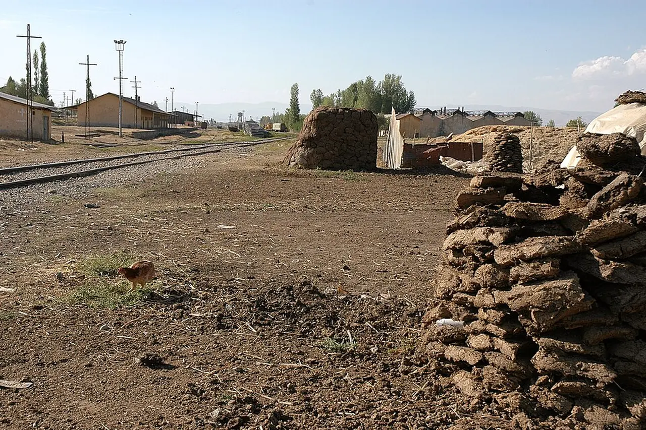 Muş ulaşım koridoru ve şehir çevresi