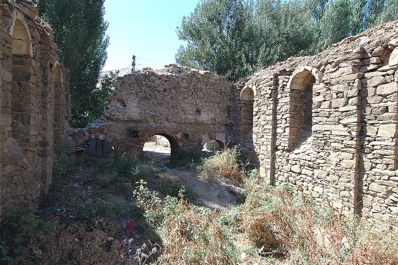 Muş geleneksel şehir dokusu