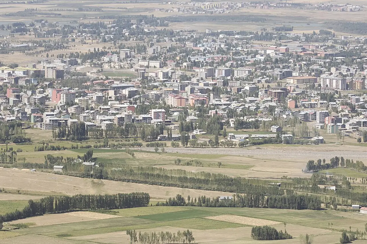 Haspet Kalesi çevresinden Muş görünümü