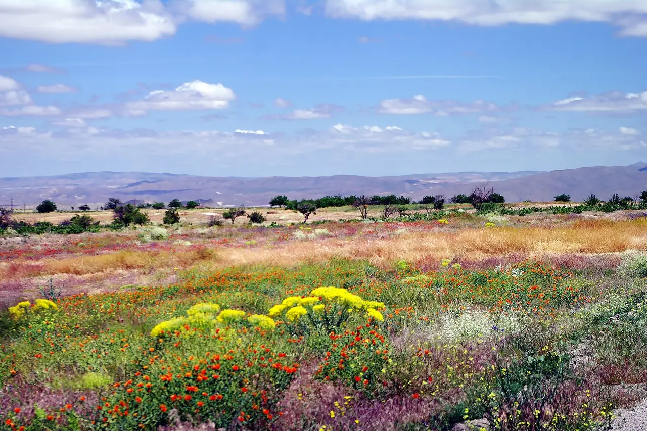 Nevşehir–Ürgüp yolu