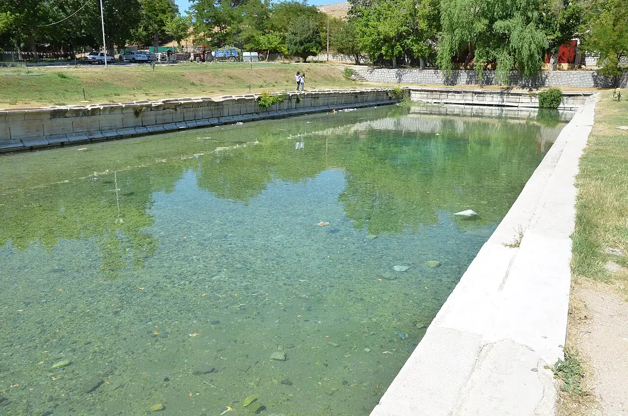 Roma Havuzu, Bahçeli