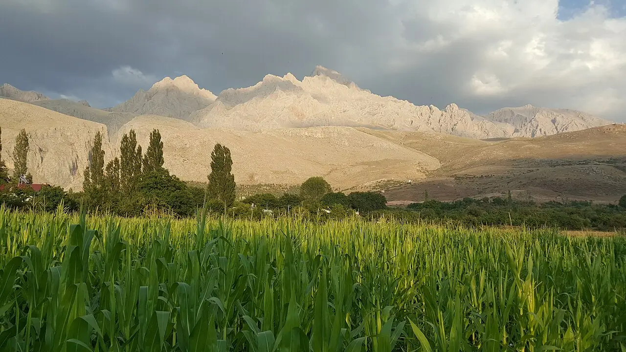 Demirkazık, Çamardı